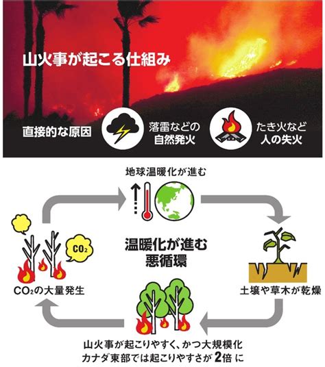 蛇山火事|山火事の原因のひとつが「蛇(ヘビ)」とききました。これは何故。